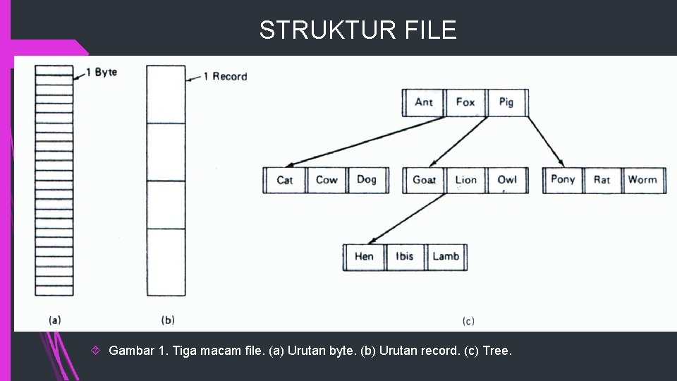 STRUKTUR FILE Gambar 1. Tiga macam file. (a) Urutan byte. (b) Urutan record. (c)
