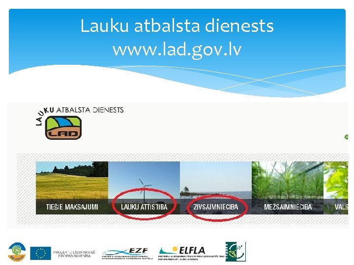 Lauku atbalsta dienests www. lad. gov. lv 