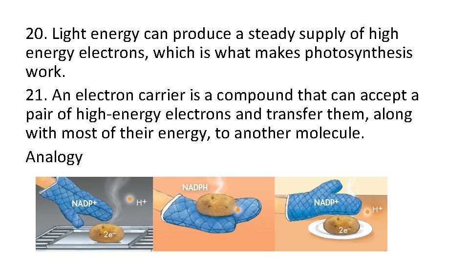 20. Light energy can produce a steady supply of high energy electrons, which is