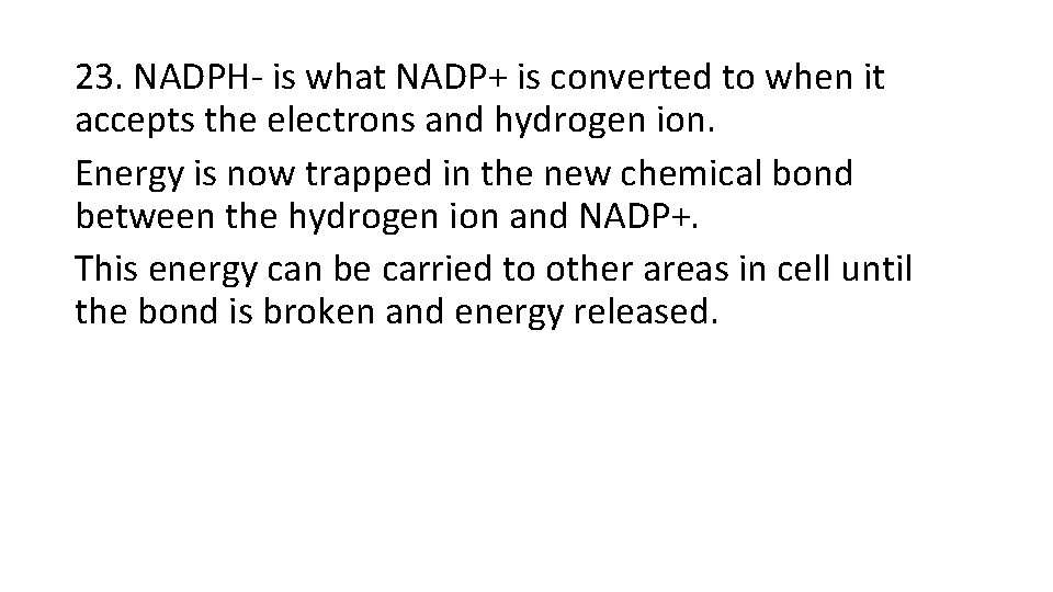 23. NADPH- is what NADP+ is converted to when it accepts the electrons and