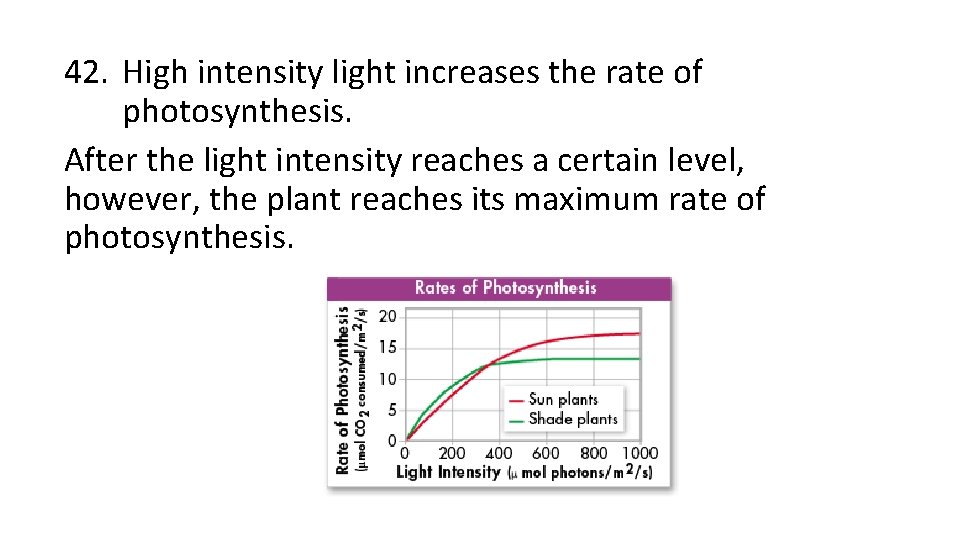 42. High intensity light increases the rate of photosynthesis. After the light intensity reaches