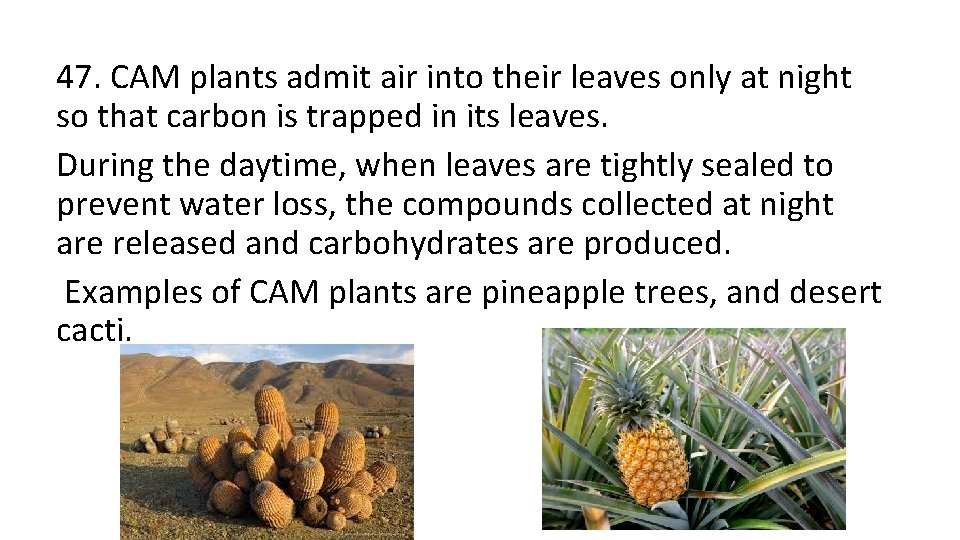 47. CAM plants admit air into their leaves only at night so that carbon