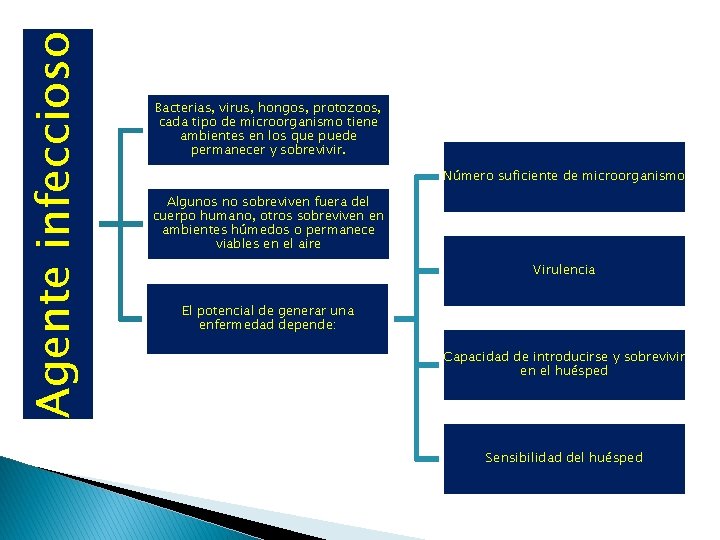 Agente infeccioso Prevención y control de infecciones asociadas a la atención de Salud Bacterias,