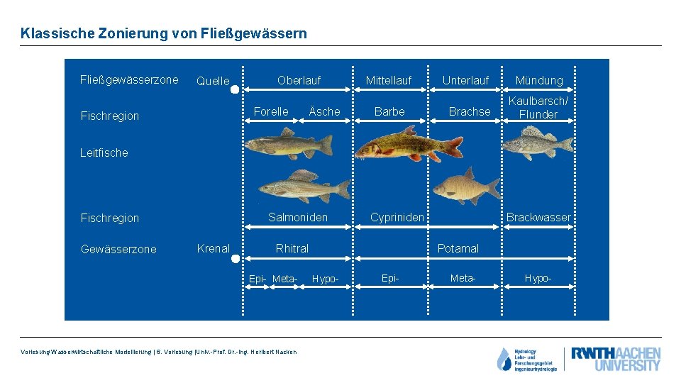 Klassische Zonierung von Fließgewässerzone Quelle Oberlauf Forelle Fischregion Äsche Mittellauf Barbe Unterlauf Brachse Mündung