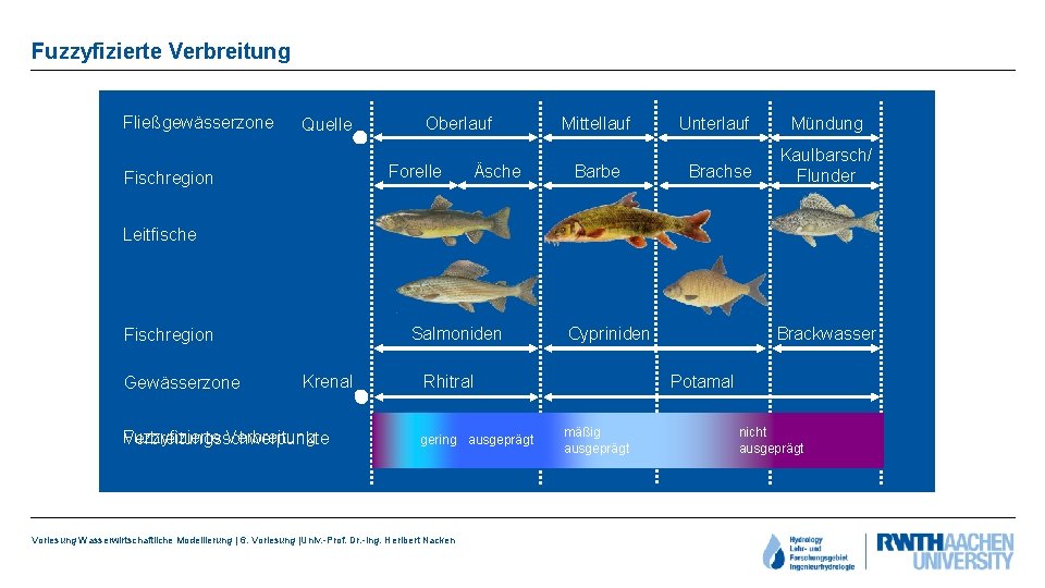 Fuzzyfizierte Verbreitung Fließgewässerzone Quelle Oberlauf Forelle Fischregion Äsche Mittellauf Barbe Unterlauf Brachse Mündung Kaulbarsch/