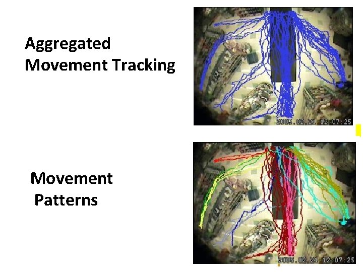 Aggregated Movement Tracking Movement Patterns 