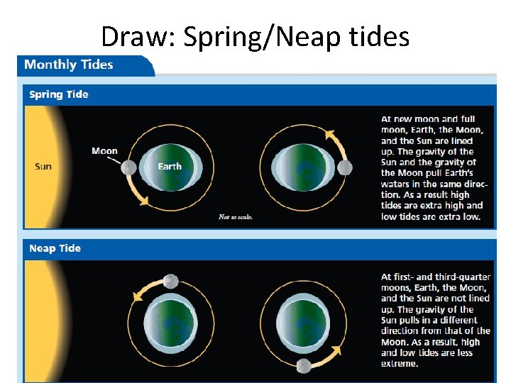 Draw: Spring/Neap tides 