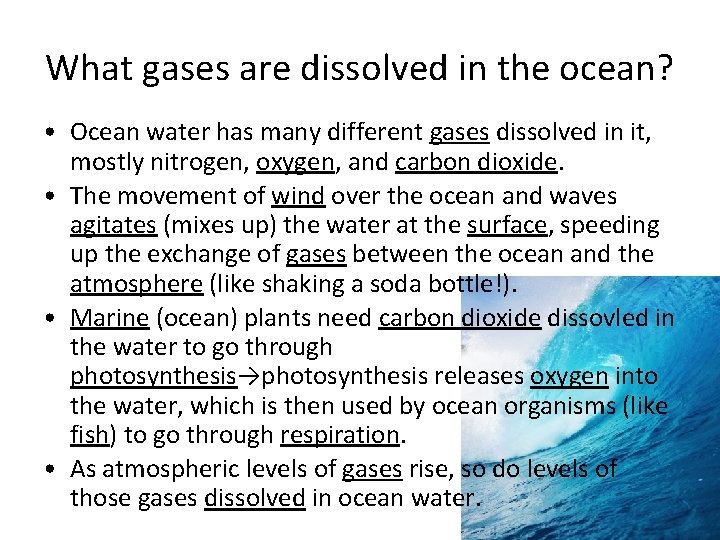 What gases are dissolved in the ocean? • Ocean water has many different gases