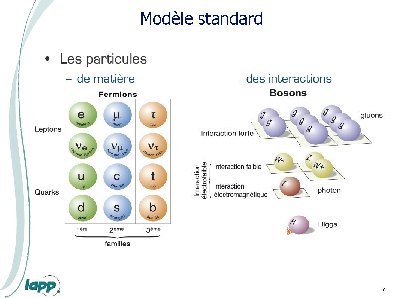 Modèle standard 7 Modèle standard 7