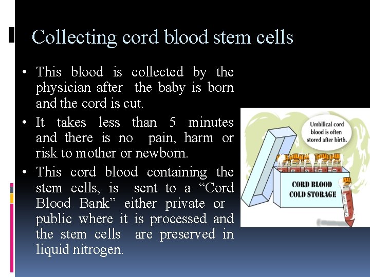 Collecting cord blood stem cells • This blood is collected by the physician after