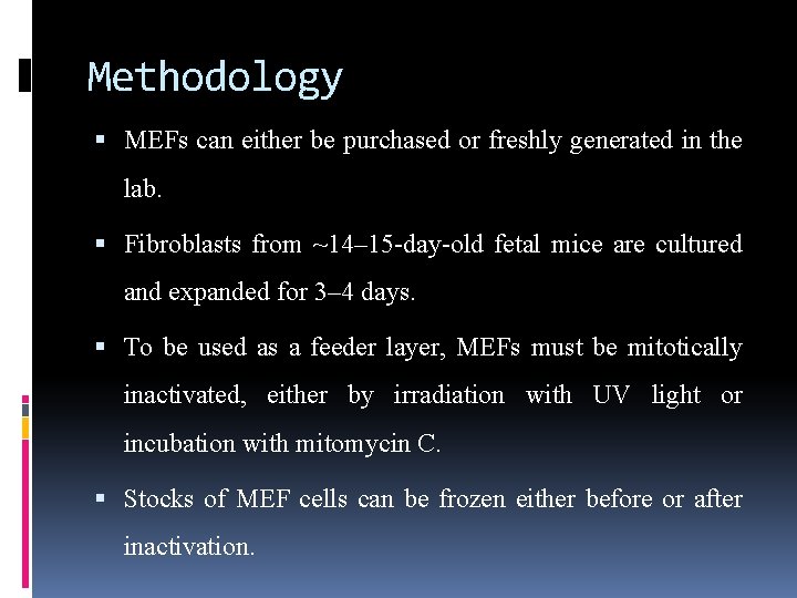 Methodology MEFs can either be purchased or freshly generated in the lab. Fibroblasts from Methodology MEFs can either be purchased or freshly generated in the lab. Fibroblasts from