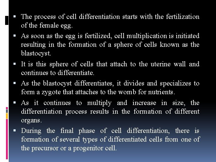The process of cell differentiation starts with the fertilization of the female egg. The process of cell differentiation starts with the fertilization of the female egg.