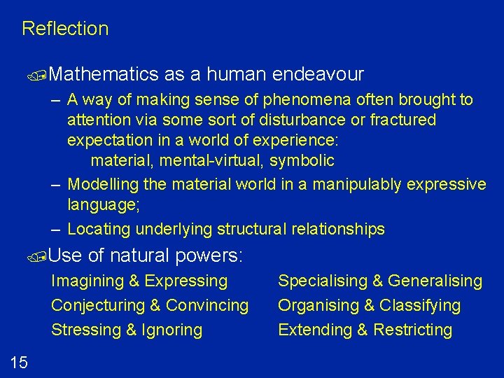 Reflection /Mathematics as a human endeavour – A way of making sense of phenomena