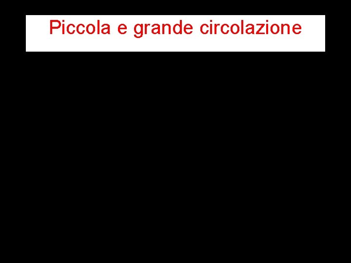 Piccola e grande circolazione 