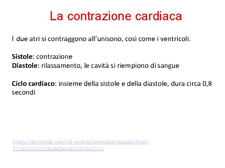 La contrazione cardiaca I due atri si contraggono all’unisono, così come i ventricoli. Sistole: