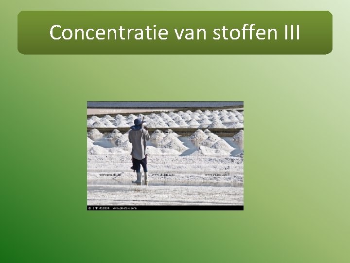 Hoofdstuk 4 Transport in cellen Leerstof toets periode