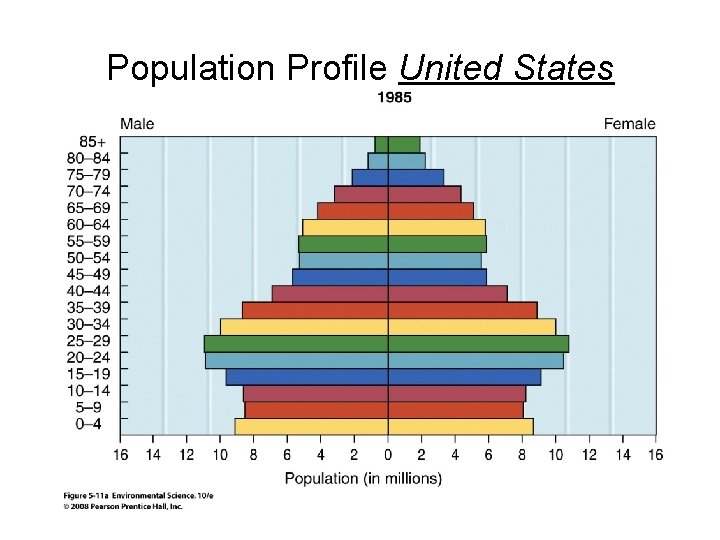 Population Profile United States 