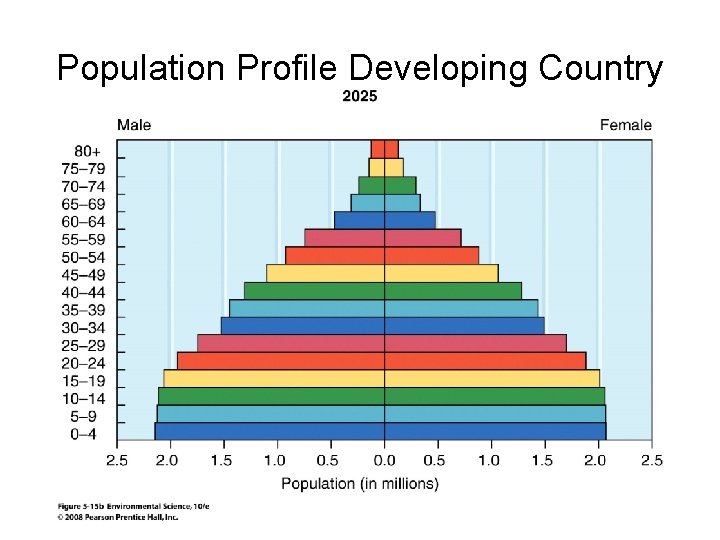 Population Profile Developing Country 