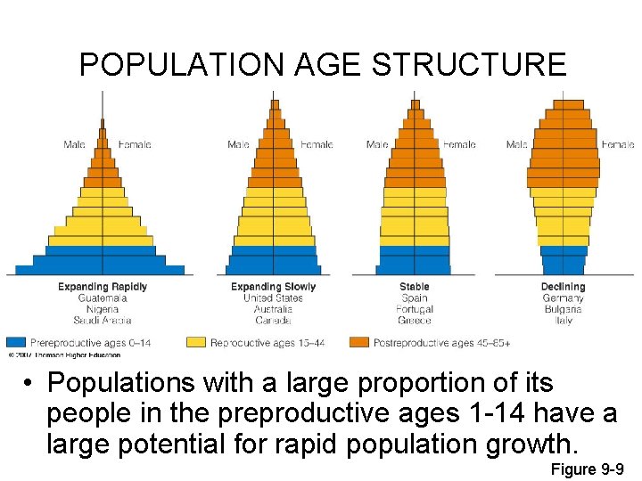 POPULATION AGE STRUCTURE • Populations with a large proportion of its people in the