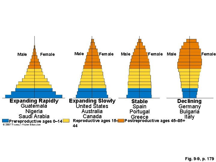 Male Female Expanding Rapidly Guatemala Nigeria Saudi Arabia Prereproductive ages 0– 14 Male Female