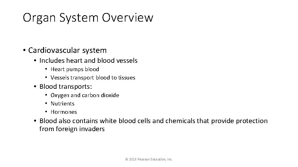 Organ System Overview • Cardiovascular system • Includes heart and blood vessels • Heart