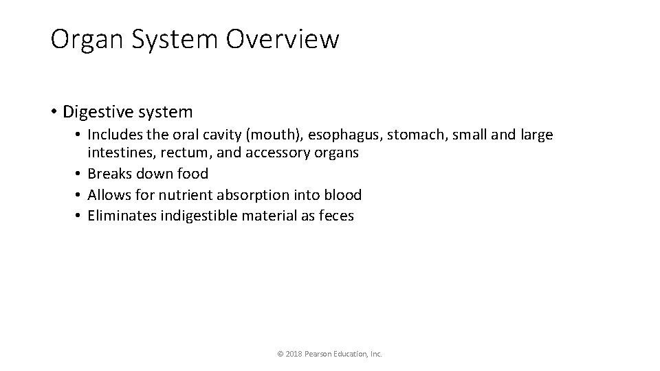 Organ System Overview • Digestive system • Includes the oral cavity (mouth), esophagus, stomach,