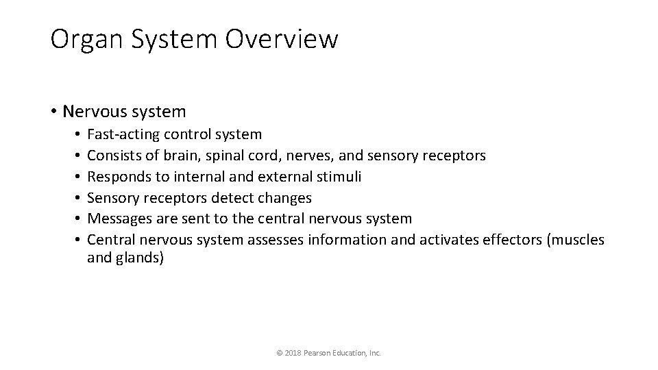 Organ System Overview • Nervous system • • • Fast-acting control system Consists of