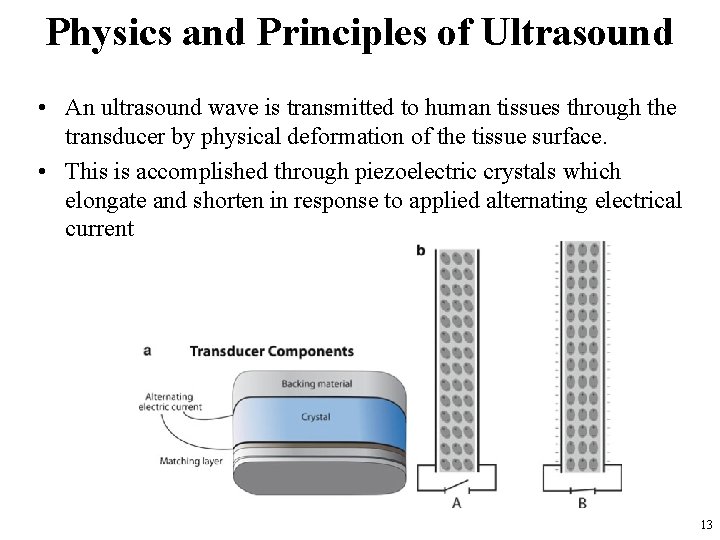 Physics and Principles of Ultrasound • An ultrasound wave is transmitted to human tissues