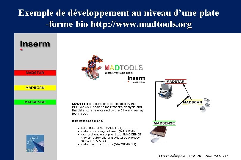 Exemple de développement au niveau d’une plate -forme bio http: //www. madtools. org Ouest