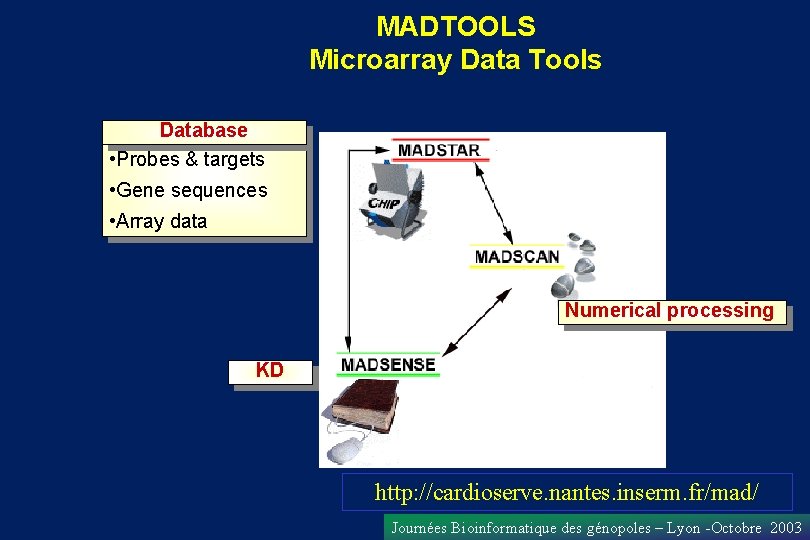 MADTOOLS Microarray Data Tools Database • Probes & targets • Gene sequences • Array