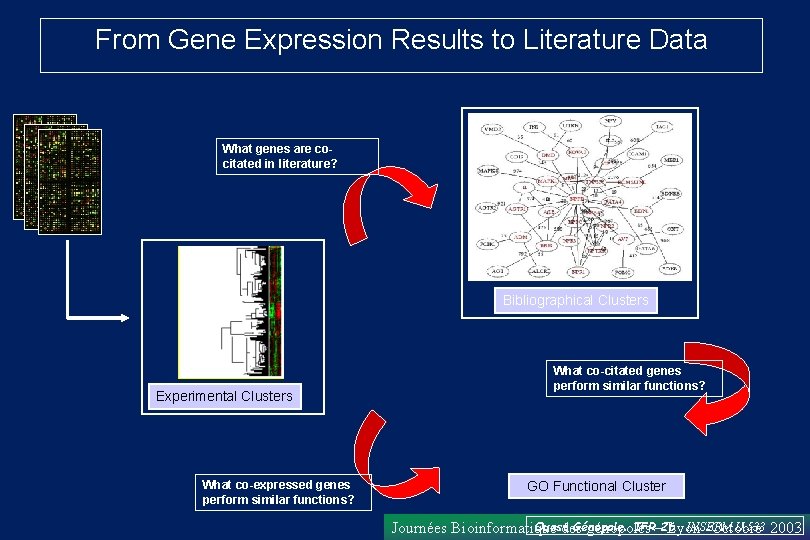 From Gene Expression Results to Literature Data What genes are cocitated in literature? Bibliographical