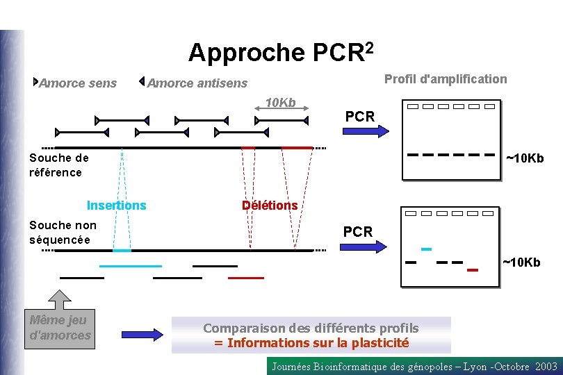 Approche PCR 2 Amorce sens Profil d'amplification Amorce antisens 10 Kb PCR ~10 Kb