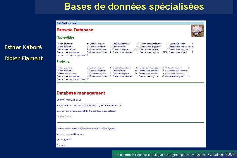 Bases de données spécialisées Esther Kaboré Didier Flament Journées Bioinformatique des génopoles – Lyon