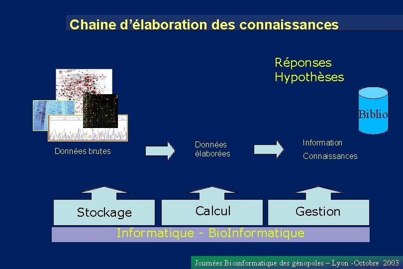 Chaine d’élaboration des connaissances Réponses Hypothèses Biblio Données brutes Stockage Données élaborées Information Calcul