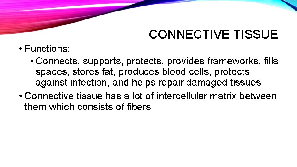 CONNECTIVE TISSUE • Functions: • Connects, supports, protects, provides frameworks, fills spaces, stores fat,