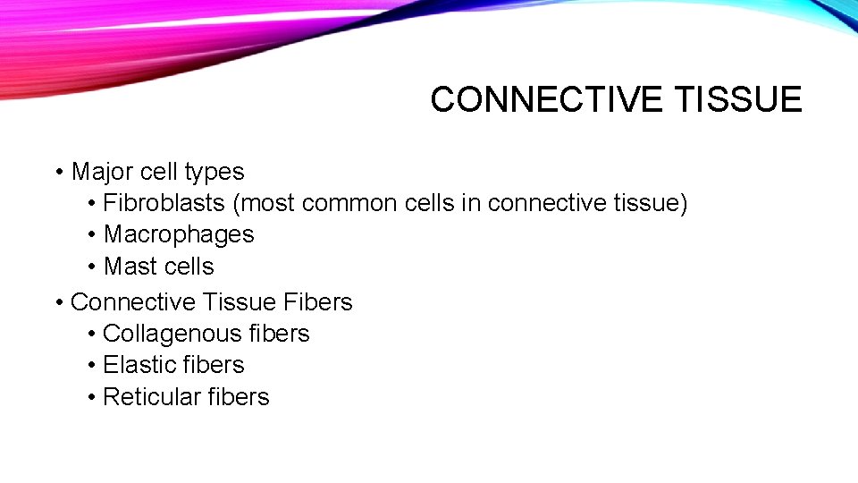 CONNECTIVE TISSUE • Major cell types • Fibroblasts (most common cells in connective tissue)