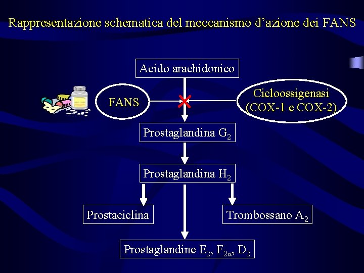 Rappresentazione schematica del meccanismo d’azione dei FANS Acido arachidonico x FANS Cicloossigenasi (COX-1 e Rappresentazione schematica del meccanismo d’azione dei FANS Acido arachidonico x FANS Cicloossigenasi (COX-1 e