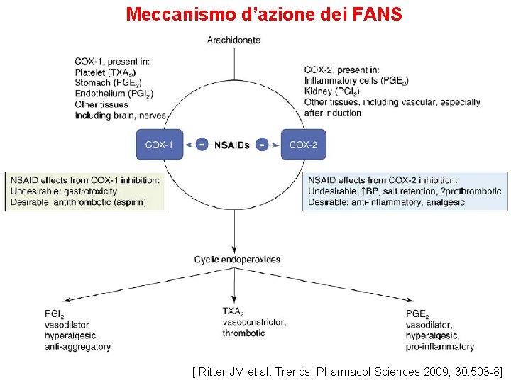 Meccanismo d’azione dei FANS [ Ritter JM et al. Trends Pharmacol Sciences 2009; 30: Meccanismo d’azione dei FANS [ Ritter JM et al. Trends Pharmacol Sciences 2009; 30: