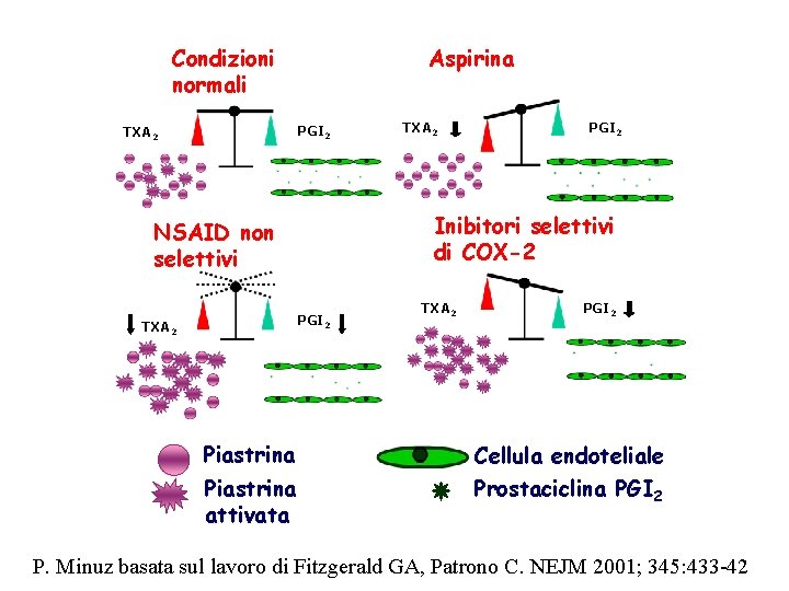Condizioni normali Aspirina PGI 2 TXA 2 PGI 2 Inibitori selettivi di COX-2 NSAID Condizioni normali Aspirina PGI 2 TXA 2 PGI 2 Inibitori selettivi di COX-2 NSAID