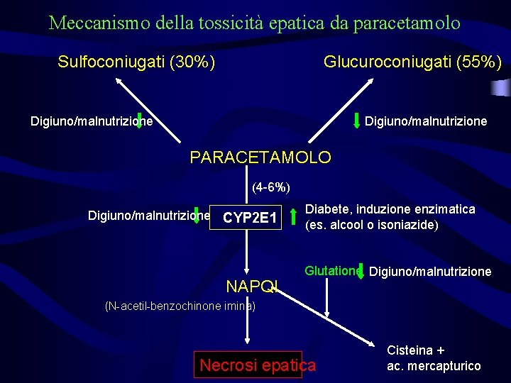 Meccanismo della tossicità epatica da paracetamolo Sulfoconiugati (30%) Glucuroconiugati (55%) Digiuno/malnutrizione PARACETAMOLO (4 -6%) Meccanismo della tossicità epatica da paracetamolo Sulfoconiugati (30%) Glucuroconiugati (55%) Digiuno/malnutrizione PARACETAMOLO (4 -6%)