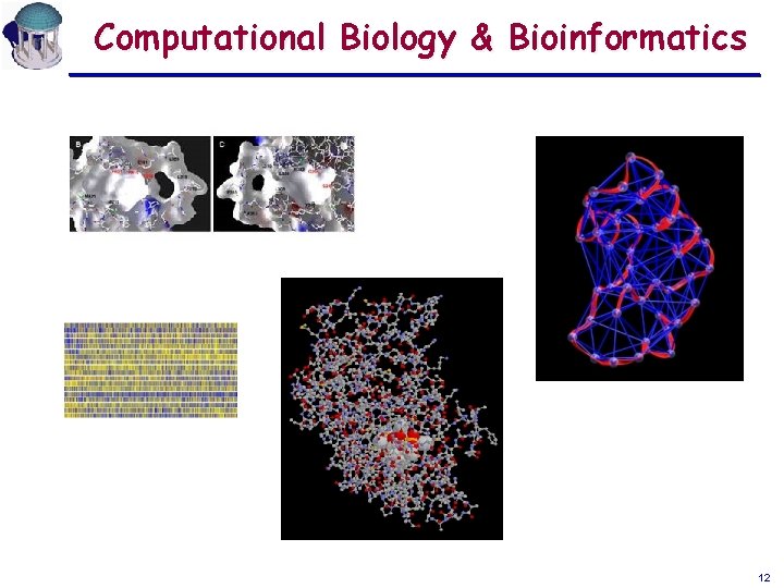 Computational Biology & Bioinformatics 12 