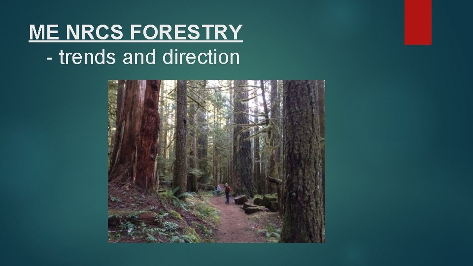 ME NRCS FORESTRY - trends and direction 