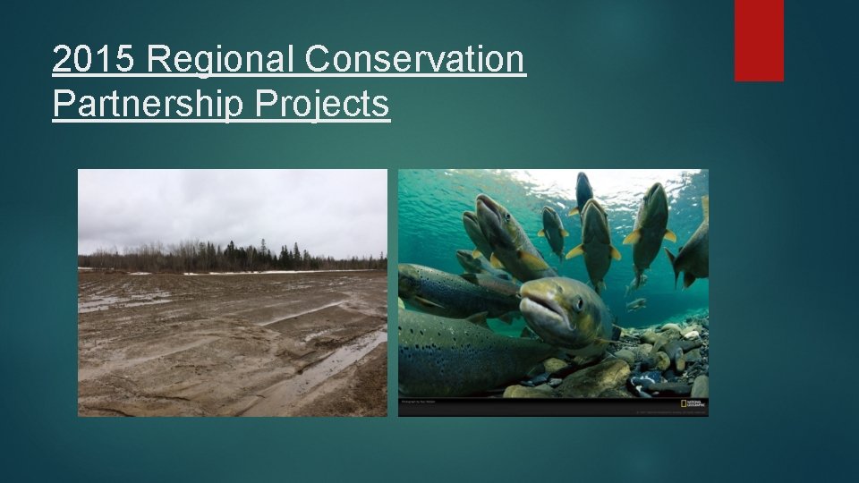 2015 Regional Conservation Partnership Projects 