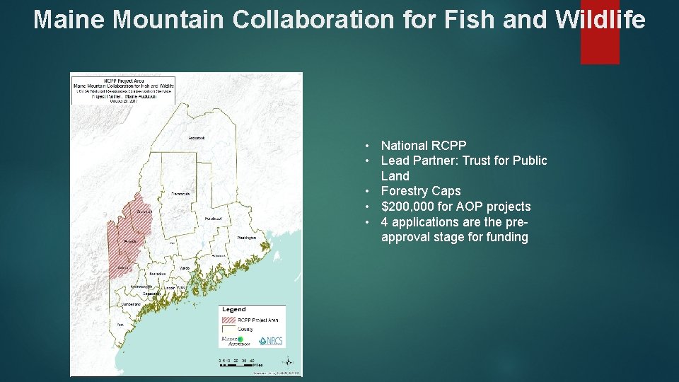 Maine Mountain Collaboration for Fish and Wildlife • National RCPP • Lead Partner: Trust