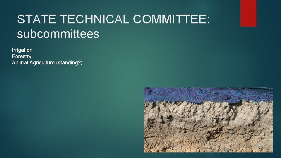 STATE TECHNICAL COMMITTEE: subcommittees Irrigation Forestry Animal Agriculture (standing? ) 