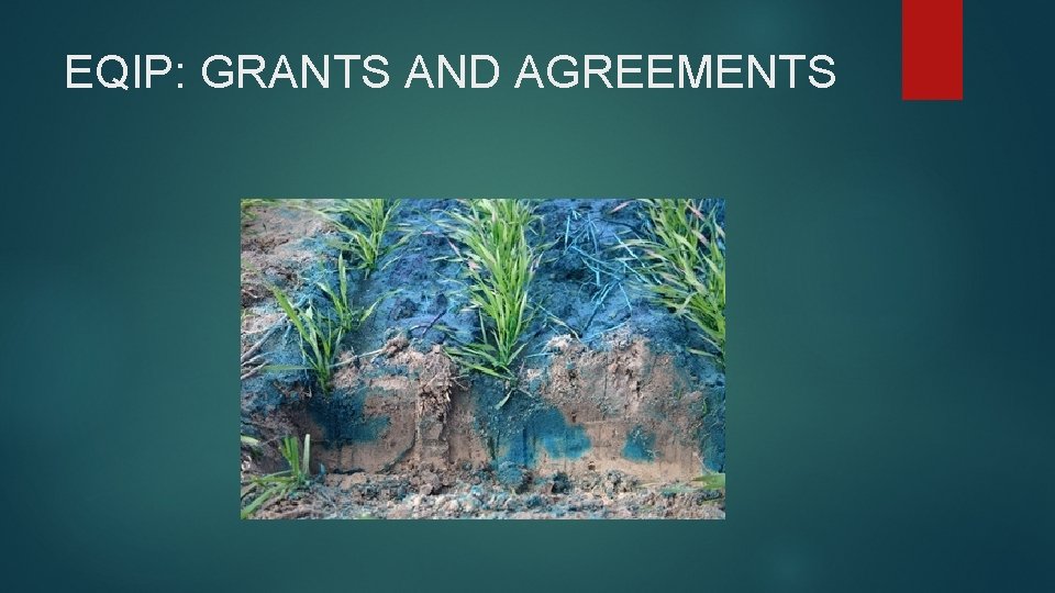 EQIP: GRANTS AND AGREEMENTS 