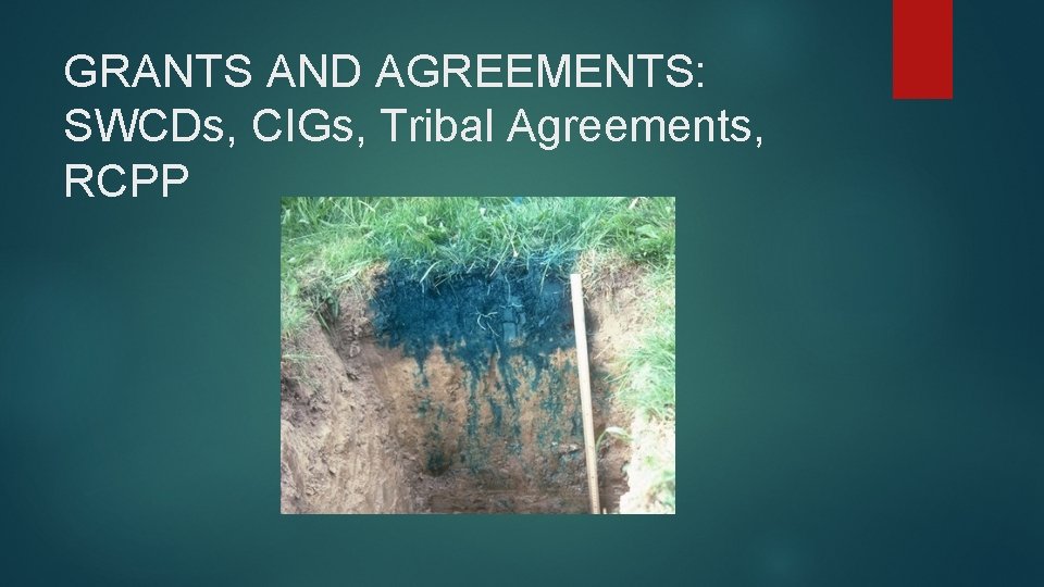 GRANTS AND AGREEMENTS: SWCDs, CIGs, Tribal Agreements, RCPP 