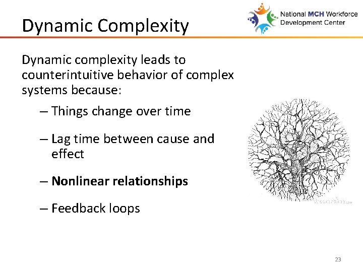 Dynamic Complexity Dynamic complexity leads to counterintuitive behavior of complex systems because: – Things