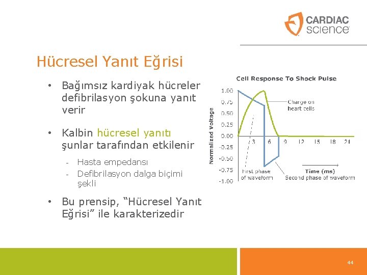 Hücresel Yanıt Eğrisi • Bağımsız kardiyak hücreler defibrilasyon şokuna yanıt verir • Kalbin hücresel Hücresel Yanıt Eğrisi • Bağımsız kardiyak hücreler defibrilasyon şokuna yanıt verir • Kalbin hücresel