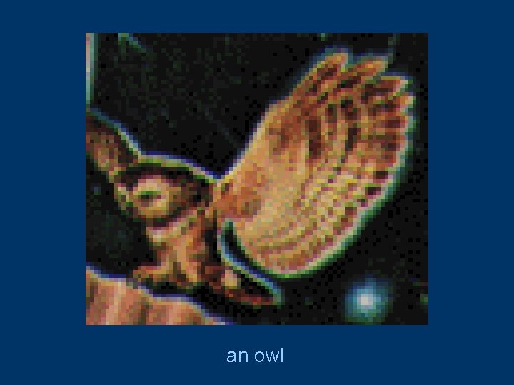 an owl 